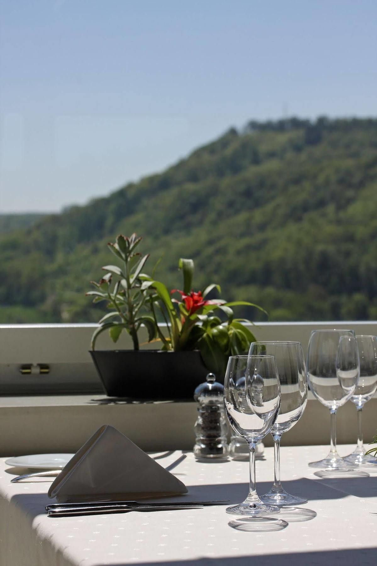 Wellness Hotel Tenedo - Thermalquellen Resort Bad Bad Zurzach Eksteriør bilde